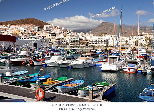 Marina and harbour, Los Cristianos, Tenerife, Canary Islands, Spain