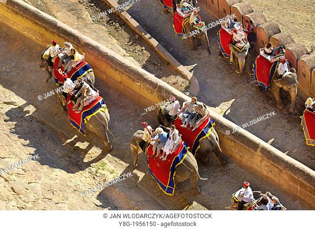 Elephants carrying tourists to the Amber Fort in Jaipur, Rajasthan, India