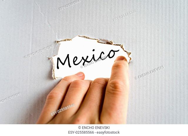 Mexico text concept isolated over white background