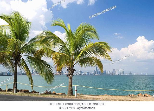 Bay Skyline Palms Causeway Panama City Republic Of Panama