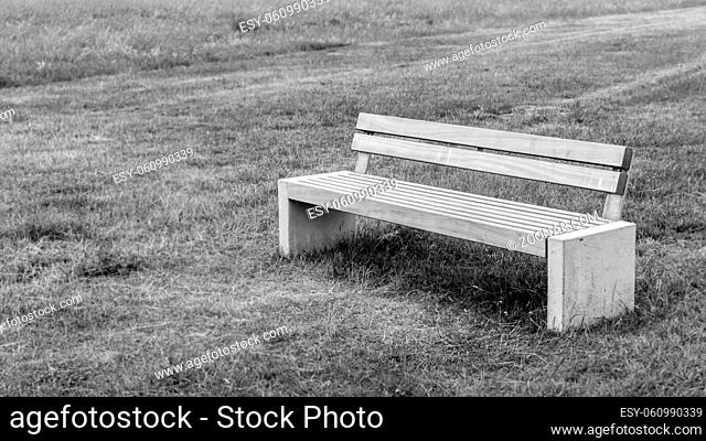 Gray bench stands alone in a meadow in black and white