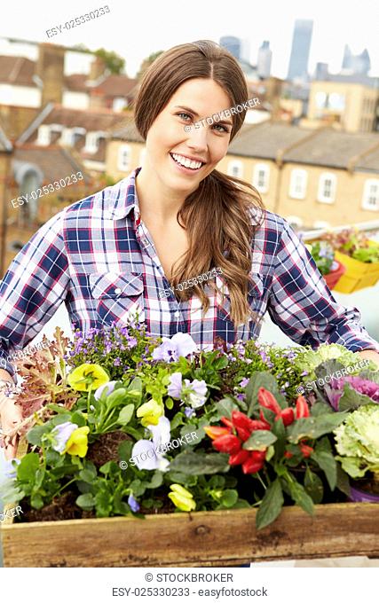 Woman Holding Box Of Plants On Rooftop Garden