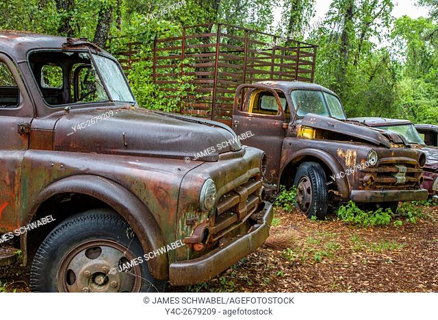 Old rusted abandoned cars and trucks in Crawfordville Florida