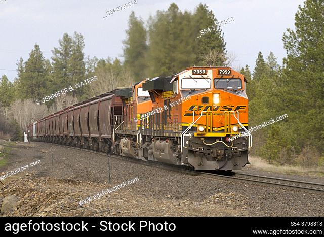 A BNSF train hauling grain in Cheney, Washington, USA