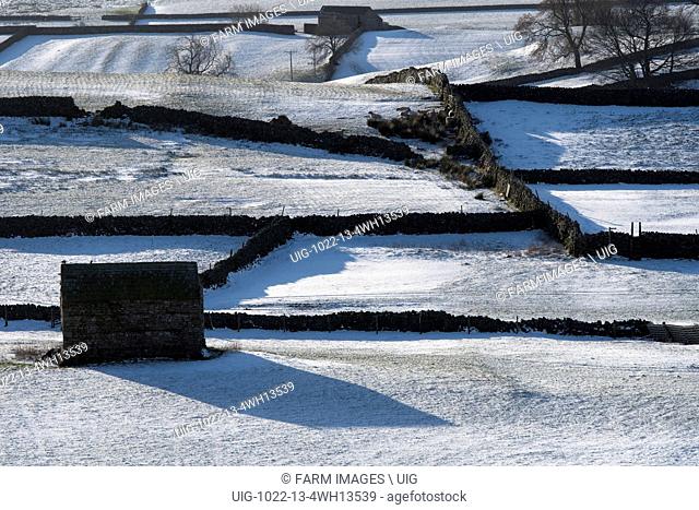 Farmland in Wensleydale near Askrigg with a covering of snow