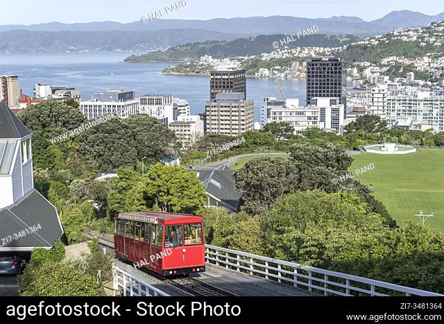 WELLINGTON, NEW ZEALAND - November 12 2019: aerial cityscape from Botanic garden heights with historical red cable car wagon
