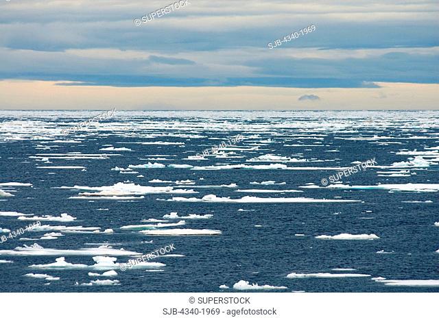 Landscape of sea ice floes off the coast of Svalbard, Norway, in summertime