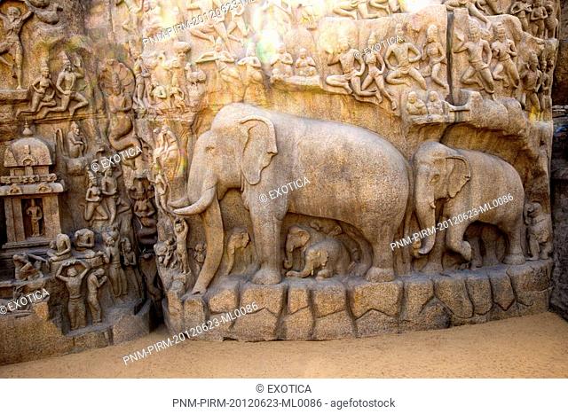Stone carvings on the face of a rock at Arjuna's Penance, Mahabalipuram, Kanchipuram District, Tamil Nadu, India