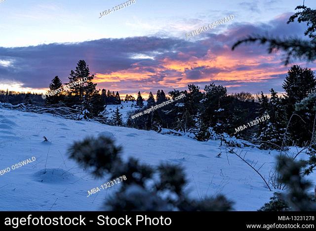 Winter, winter world, snow, juniper heather, sunrise, Swabian Alb, Baden-Wuerttemberg, Germany, Europe
