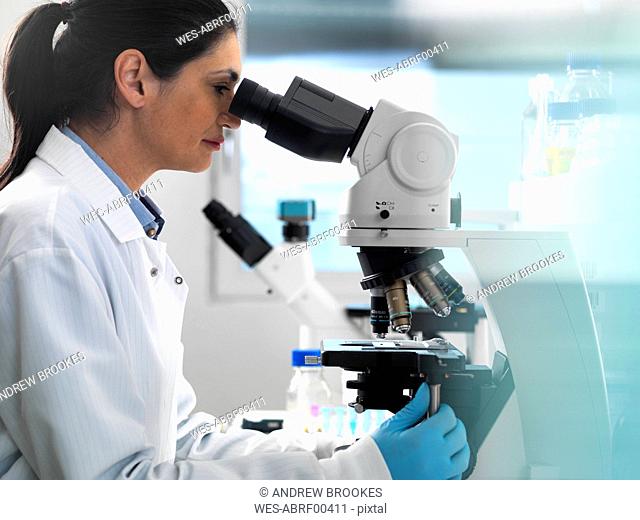 Biotech Research, Scientist examining samples under a microscope during a experiment