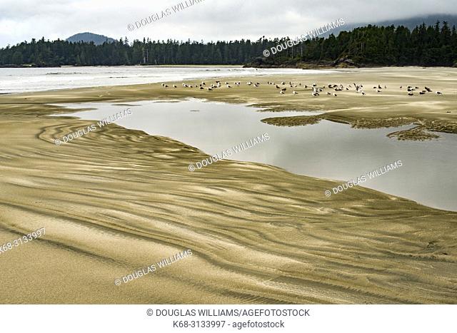 Beach on Flores Island, off the west coast of Vancouver Island, British Columbia, Canada