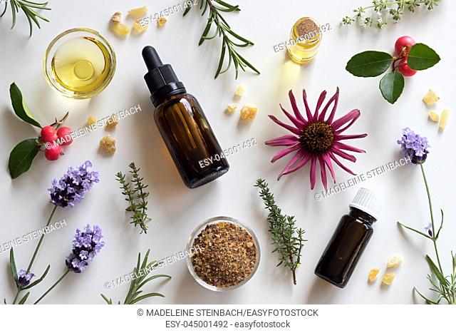 Bottles of essential oil with rosemary, thyme, creeping thyme, echinacea, wintergreen, lavender, myrrh and frankincense on a white background