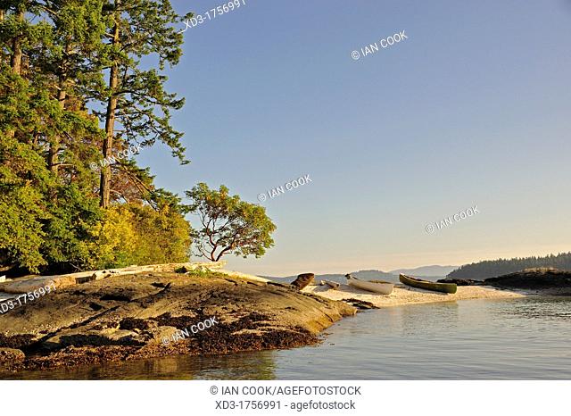 canoes on shell midden beach, Russell Island, Gulf Islands, British Columbia, Canada