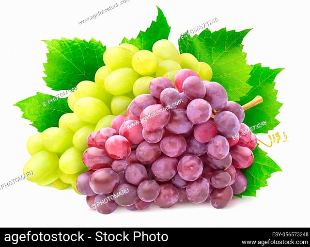 Isolated grape varieties. Bunch of white and red grapes with leaves isolated on white background with clipping path