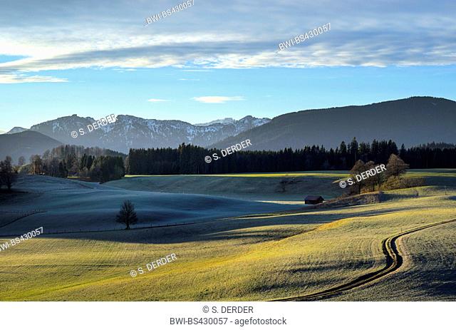 view to Ammergau Alps in autumn, Germany, Bavaria, Wildsteig