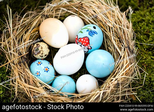 10 April 2022, Bavaria, Egloffstein: Painted and white Easter eggs lie in a nest next to an Easter fountain. After a two-year hiatus due to the pandemic