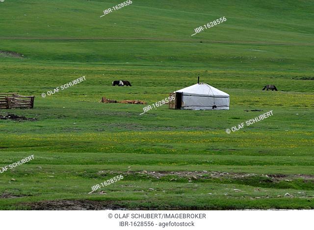 Mongolian round tent, ger or yurt in lush green grasslands near the Khuisiin Naiman Nuur Nature Reserve, Uyanga, Oevoerkhangai Aimak, Mongolia, Asia