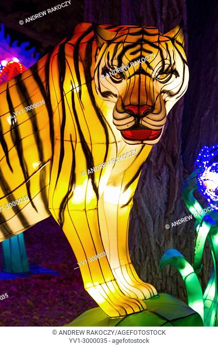 Chinese Lantern Festival to celebrate the Chinese New Year Tiger lantern