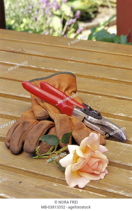 Garden, wood table, Gartenschere,  Work gloves, rose bloom, cut off, summer, Leisure time, hobby, gardening, rose breeding, garden table, table