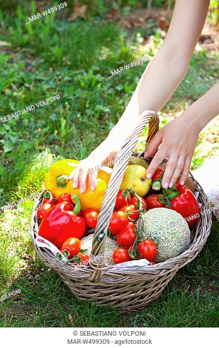 mani di una donna su un cesto di verdura in un giardino