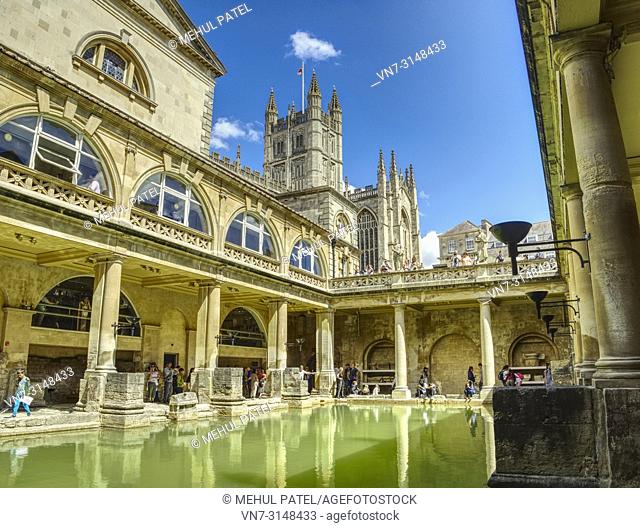 The Great Bath of the Roman Baths with Bath Abbey towering above the Baths, Bath, Somerset, England, UK. The Great Bath is the largest pool in the Roman Baths