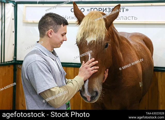 RUSSIA, MOSCOW - OCTOBER 5, 2023: A man pets a horse during the 2023 Golden Autumn Russian Agricultural Exhibition at the Russian State Agrarian University –...