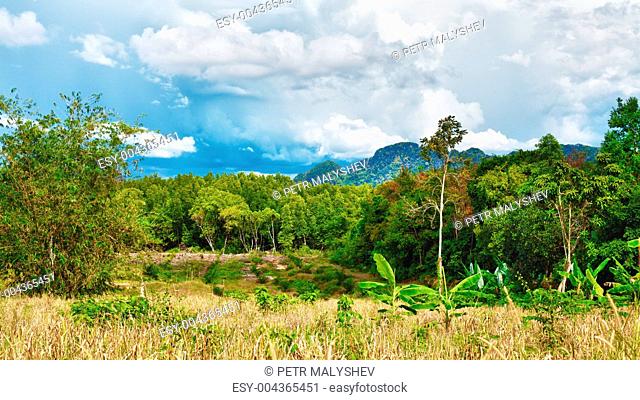 Thai Landscape