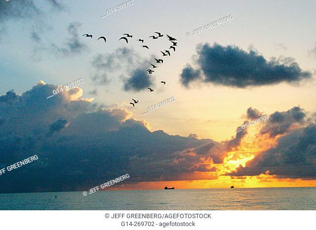 Atlantic shore at sunrise. Miami Beach. Florida. USA