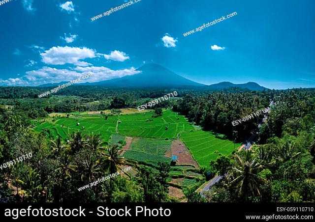 Aerial drone view of volcano and beautiful fields landscape during sunny summer day in Bali, Indonesia