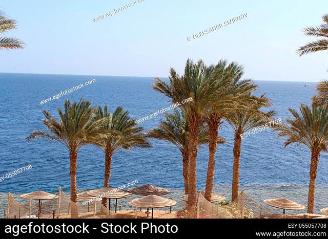 Coast of the Red Sea in Egypt