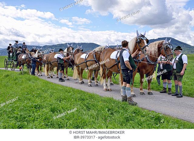 Ten-horse carriage with cold-blooded horses from Leitzachtal Valley, first international ten-horse carriage meeting, Hundham, Leitzachtal Valley, Upper Bavaria