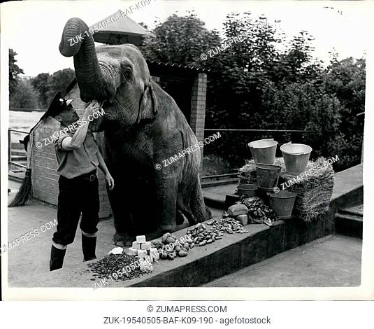 May 05, 1954 - 'Husty' is Getting Quite a Big Girl None - A Meal For a Zoo Elephant - It is Very Expensive Buminess fedding an Elephant - Especially when she is...