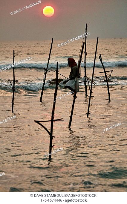 stilt fisherman perched on his pole at sunset, Midigama, Sri Lanka