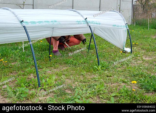 Greenhouse for planting vegetables in a the country