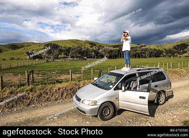 Guy on car roof taking pictures, Fletcher Bay, Coromandel, North Island, New Zealand, Oceania