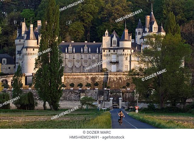 France, Indre et Loire, Loire Valley listed as World Heritage by UNESCO, Rigny Usse, Chateau d'Usse which has inspired the French author Charles Perrault for...