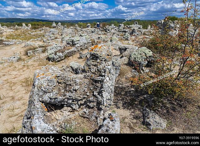 Pobiti Kamani rock formations area called Stone Desert in Bulgaria