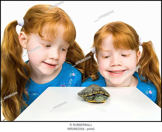 Close-up of two girls looking at a tortoise