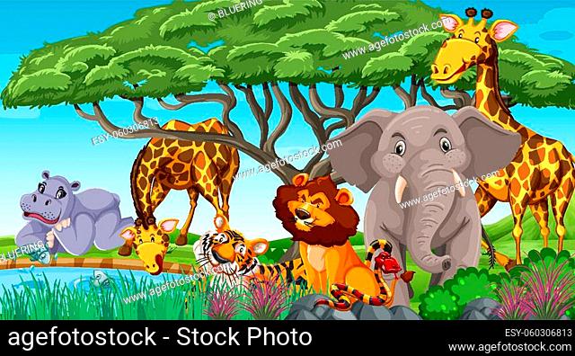 Jungle Scene Elephant - Only Creative Stock Images, Photos & Vectors |  agefotostock