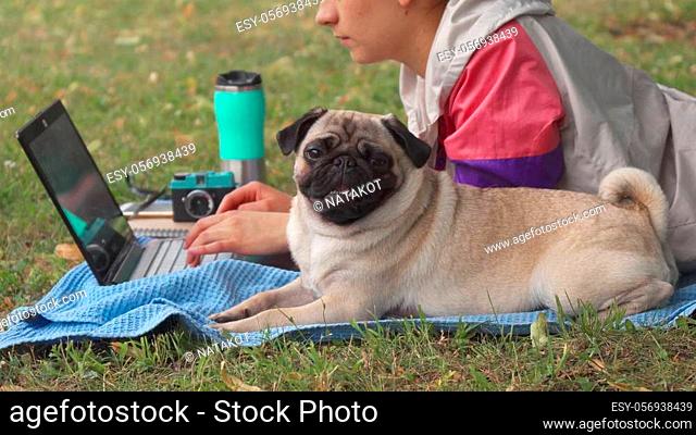Girl is laying on a carpet on lawn in a park. She typing something on her laptop. Pug laying beside and looking around. Close shot on dog