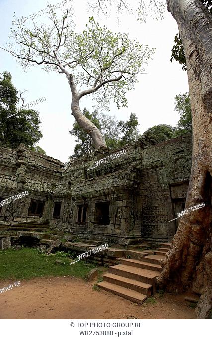 Angkor Impression