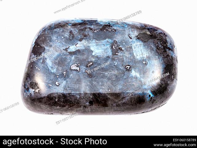 closeup of sample of natural mineral from geological collection - tumbled Larvikite (norwegian Labradorite) gemstone isolated on white background