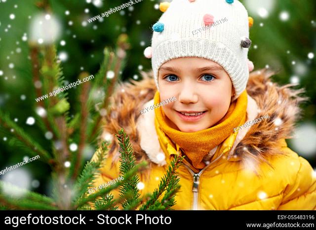 little girl choosing christmas tree at market