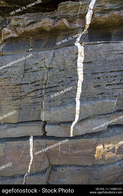 White veins of quartzite forming dykes crossing layers of metamorphosed sedimentary rock in the coastal cliff on the Atlantic coast at Odeceixe, Algarve