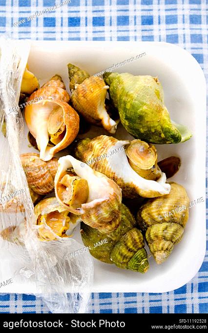 Cooked whelks in a styrofoam container on a blue and white checked surface