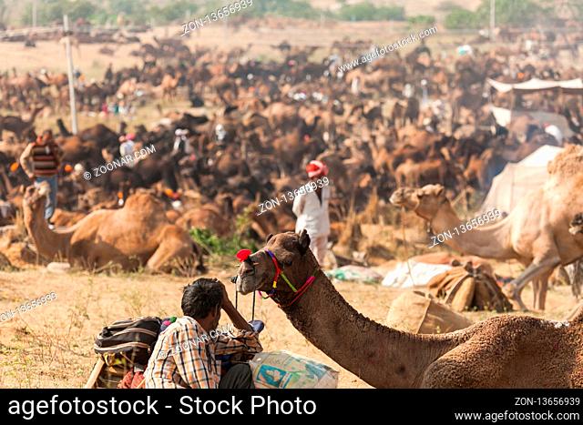 PUSHKAR, INDIA - NOVEMBER 20, 2012: A Rajasthani camel trader stands in a crowded desert camp at the annual Pushkar Camel Fair India