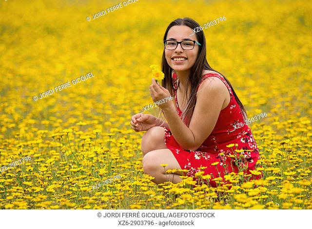 Girl with a red dress picking up flowers in a yellow field