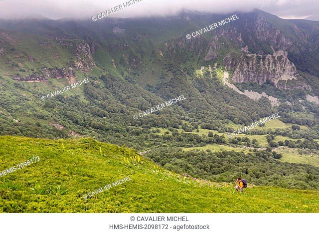 France, Puy de Dome, Chambon sur Lac, regional Natural reserve of the volcanoes of Auvergne, massif of Sancy, the nature reserve of the Valley of Chaudefour