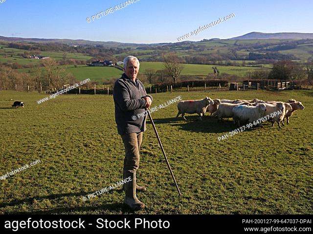 23 January 2020, United Kingdom, Betws-Y-Coed: Glyn Roberts, President of the Welsh National Farmer's Union, is standing on a pasture on his farm in Wales