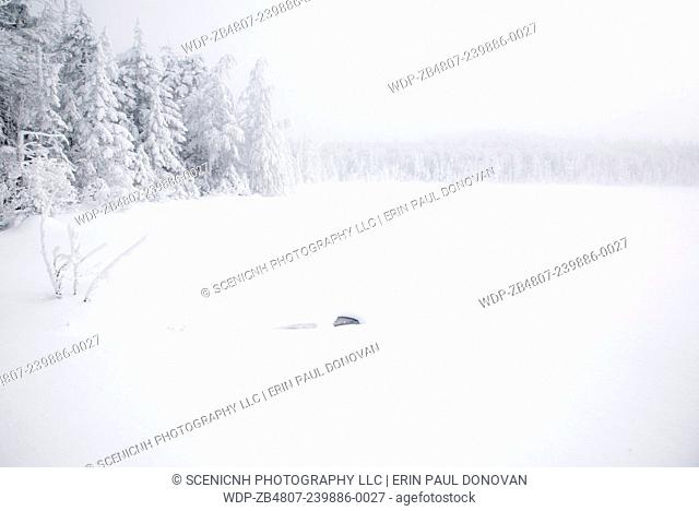Franconia Notch State Park -Lonesome Lake during the winter months in the White Mountains, New Hampshire USA in whiteout conditions